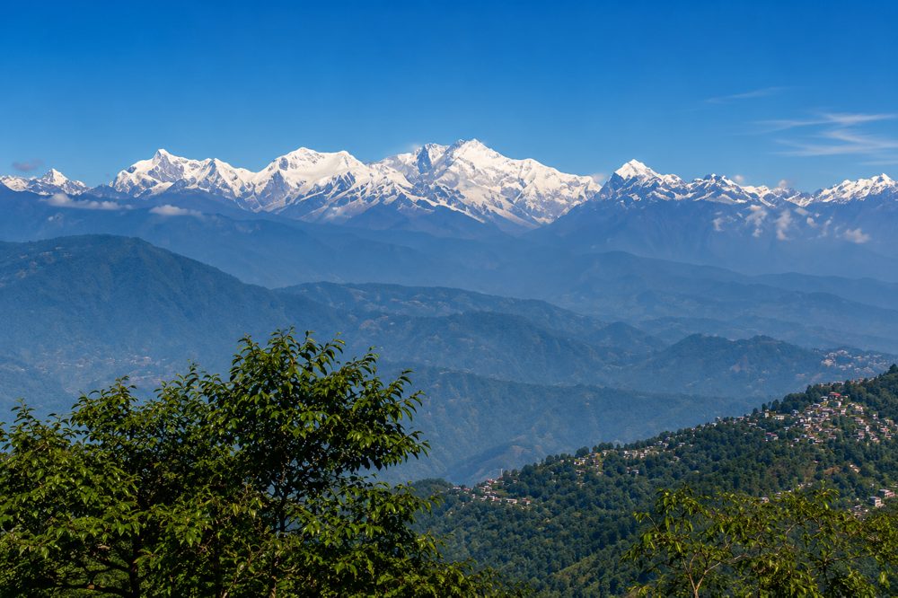Kanchenjunga above the tea gardens